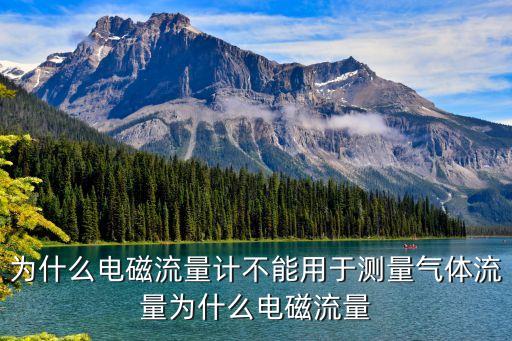 為什么電磁流量計不能用于測量氣體流量為什么電磁流量