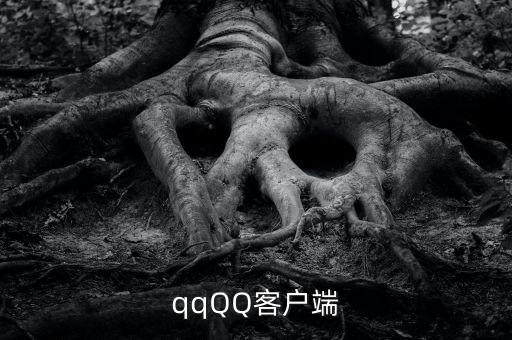 qqQQ客戶端
