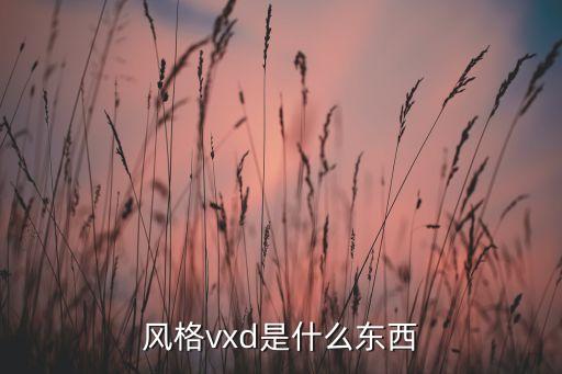 vxd，風(fēng)格vxd是什么東西