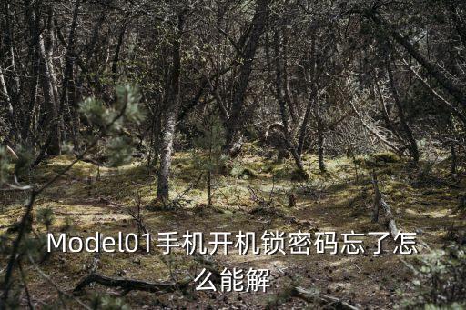 model1，Model01手機開機鎖密碼忘了怎么能解