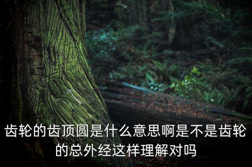 齒輪的齒頂圓是什么意思啊是不是齒輪的總外經(jīng)這樣理解對嗎
