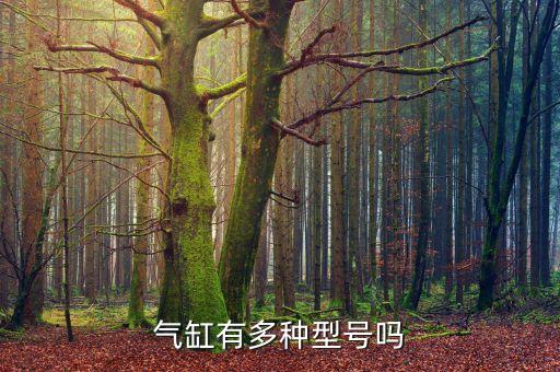 氣缸有多種型號嗎