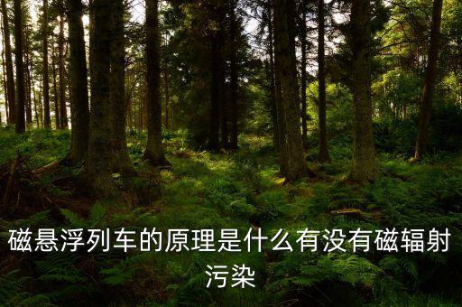 磁懸浮列車的原理是什么有沒有磁輻射污染