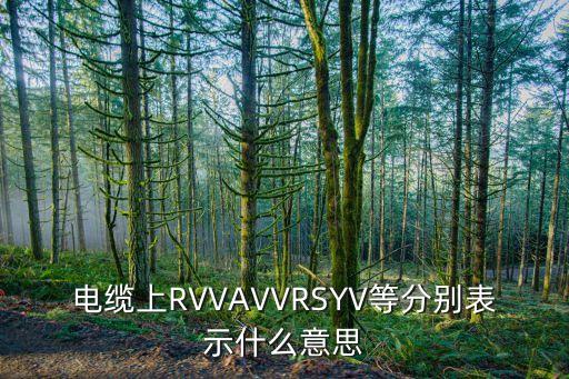 電纜上RVVAVVRSYV等分別表示什么意思