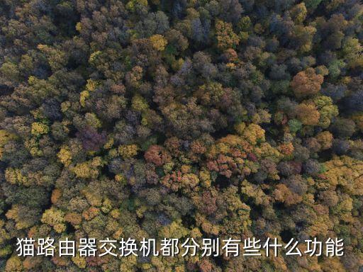 貓路由器交換機(jī)都分別有些什么功能