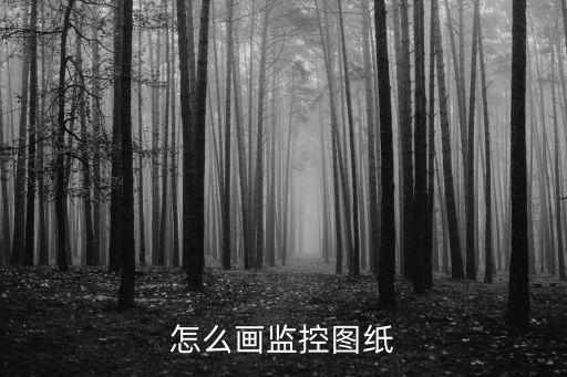 怎么畫監(jiān)控圖紙
