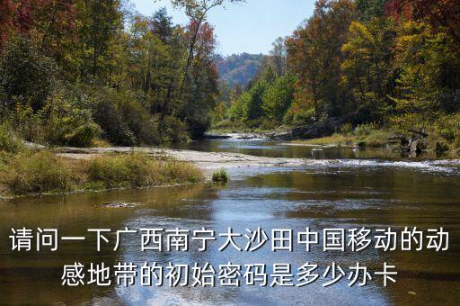 138138，請問一下廣西南寧大沙田中國移動的動感地帶的初始密碼是多少辦卡