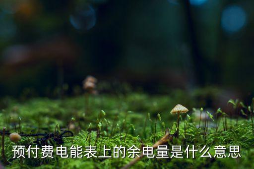 剩余電量，怎樣檢測(cè)電池剩余電量
