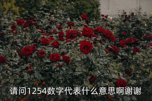 請問1254數字代表什么意思啊謝謝