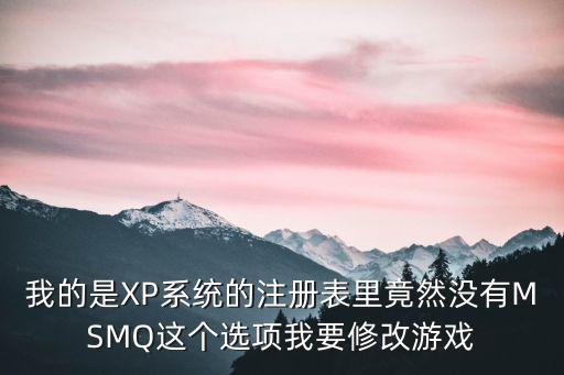 我的是XP系統(tǒng)的注冊(cè)表里竟然沒有MSMQ這個(gè)選項(xiàng)我要修改游戲