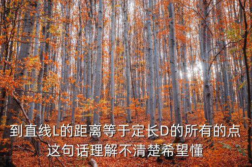 到直線L的距離等于定長(zhǎng)D的所有的點(diǎn)這句話理解不清楚希望懂