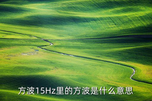 方波15Hz里的方波是什么意思