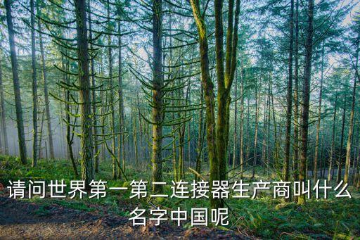 請問世界第一第二連接器生產(chǎn)商叫什么名字中國呢