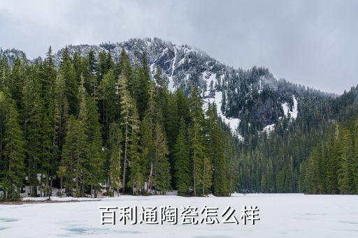 百利通陶瓷怎么樣