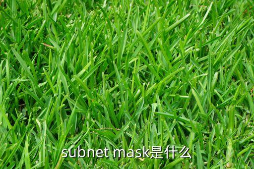 subnet mask是什么
