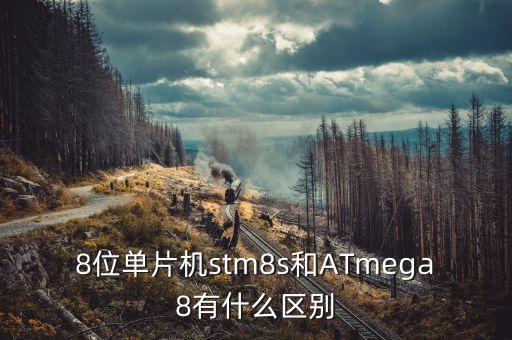 atmega8，用一個(gè)ATMEGA8能夠?qū)崿F(xiàn)接收脈沖并計(jì)數(shù)把數(shù)字顯示到數(shù)碼管 當(dāng)脈沖