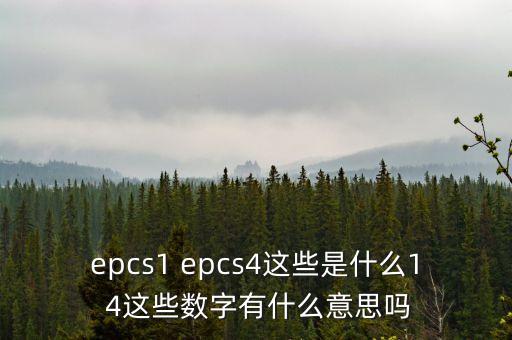 epcs1 epcs4這些是什么1 4這些數(shù)字有什么意思嗎