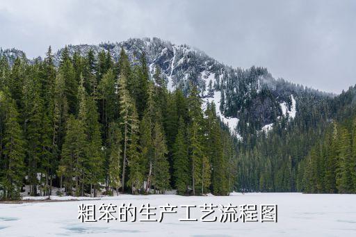 生產(chǎn)流程圖，流程圖和程序框圖