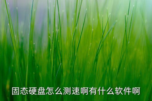 固態(tài)硬盤測試工具，固態(tài)硬盤怎么測速啊有什么軟件啊
