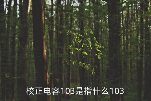 校正電容103是指什么103