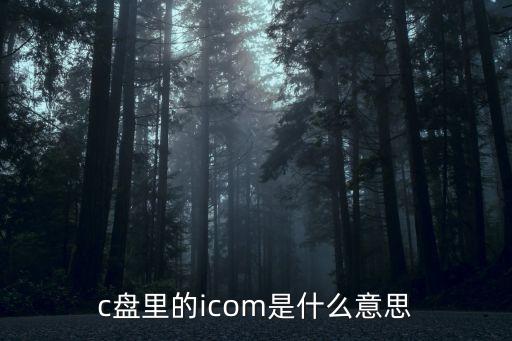 c盤里的icom是什么意思