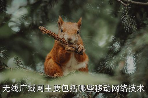 無線廣域網(wǎng)主要包括哪些移動網(wǎng)絡(luò)技術(shù)