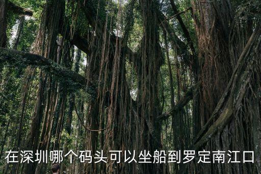 在深圳哪個(gè)碼頭可以坐船到羅定南江口