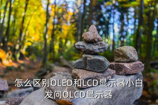 怎么區(qū)別OLED和LCD顯示器小白發(fā)問OLCD顯示器