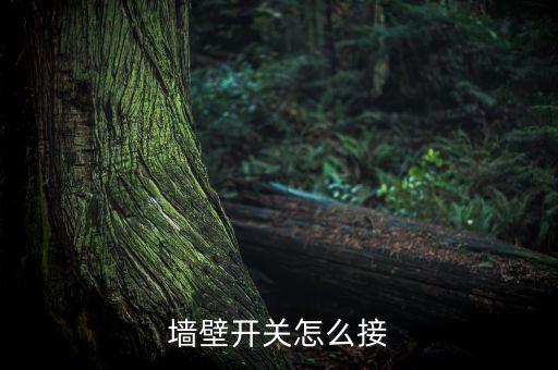 墻壁開關怎么接