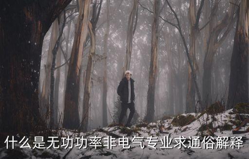 什么是無功功率非電氣專業(yè)求通俗解釋