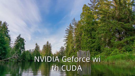 NVIDIA Geforce with CUDA