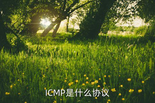 ICMP是什么協(xié)議