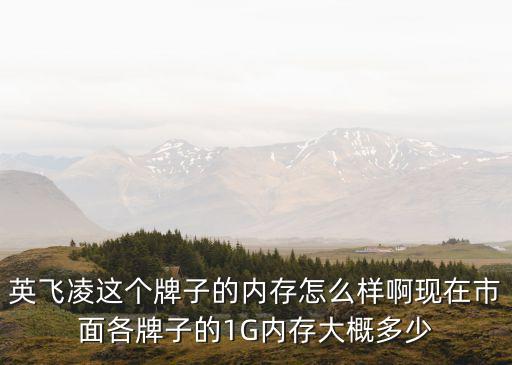 英飛凌這個牌子的內存怎么樣啊現在市面各牌子的1G內存大概多少