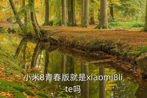 小米8青春版就是xiaomi8lite嗎