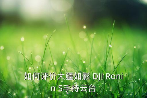 大疆如影，誰用過大疆的如影能談?wù)劯邢雴釁?shù)好調(diào)嗎