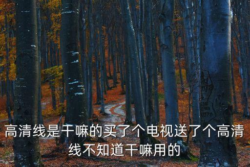 高清線是干嘛的買了個電視送了個高清線不知道干嘛用的