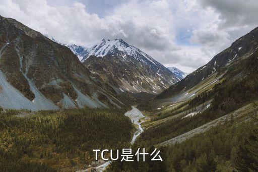 TCU是什么