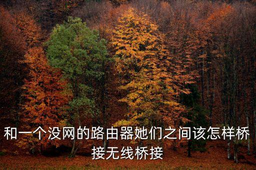 和一個沒網(wǎng)的路由器她們之間該怎樣橋接無線橋接