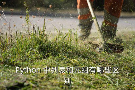 Python 中列表和元組有哪些區(qū)別