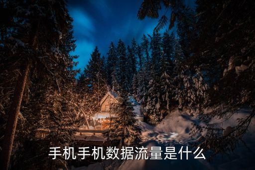 手機手機數(shù)據(jù)流量是什么