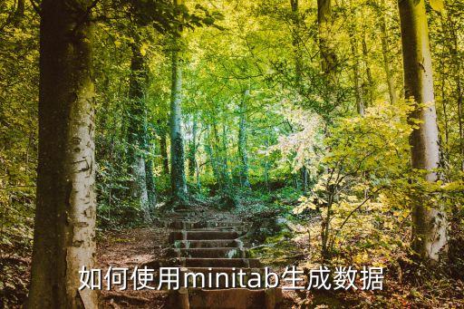如何使用minitab生成數(shù)據(jù)