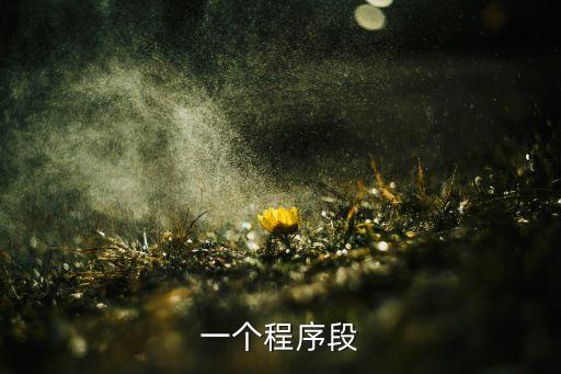 一個(gè)程序段