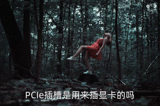 PCIe插槽是用來(lái)插顯卡的嗎