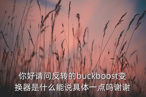 你好請問反轉(zhuǎn)的buckboost變換器是什么能說具體一點嗎謝謝