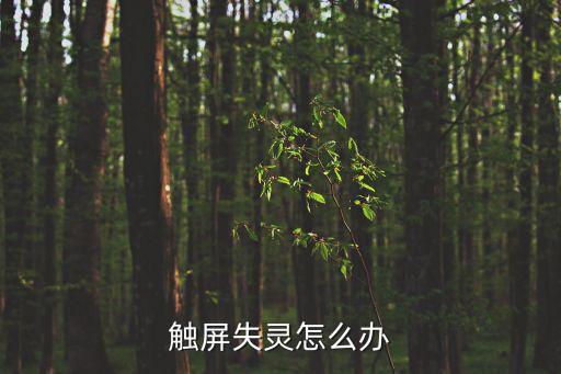 觸屏失靈怎么辦