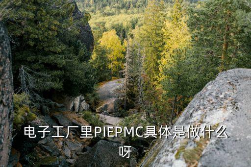 電子工廠里PIEPMC具體是做什么呀