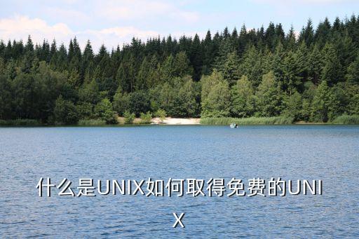 什么是UNIX如何取得免費(fèi)的UNIX