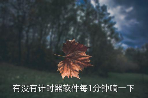 有沒有計時器軟件每1分鐘嘀一下