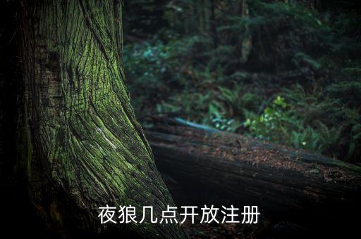 夜狼社區(qū)，夜狼黑客安全技術論壇怎么樣