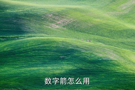 數(shù)字哨兵，衛(wèi)兵站崗手持槍打三個數(shù)字